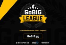 Logo GoBIG League