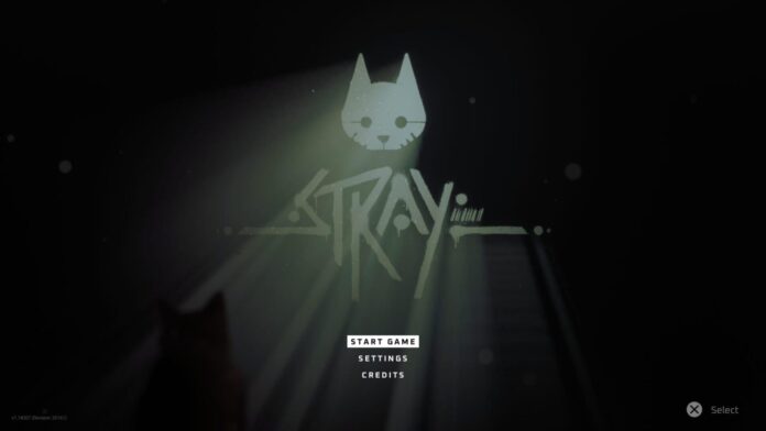 Stray la recensione: un'avventura da GOTY