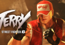 Street Fighter Terry Punk