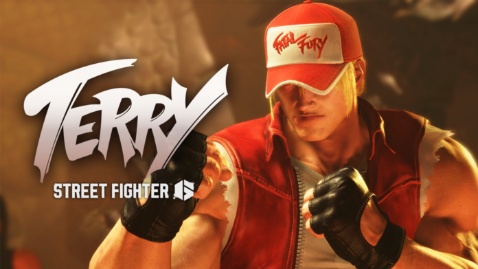 Street Fighter Terry Punk